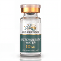 BACTERIOSTATIC WATER 10 ML